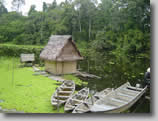 Amazon-River-Boats