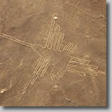 Nazca-Bird