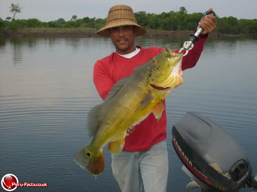 Peru  Fishing Trips  Peru-Facts Fishing Trips To The
